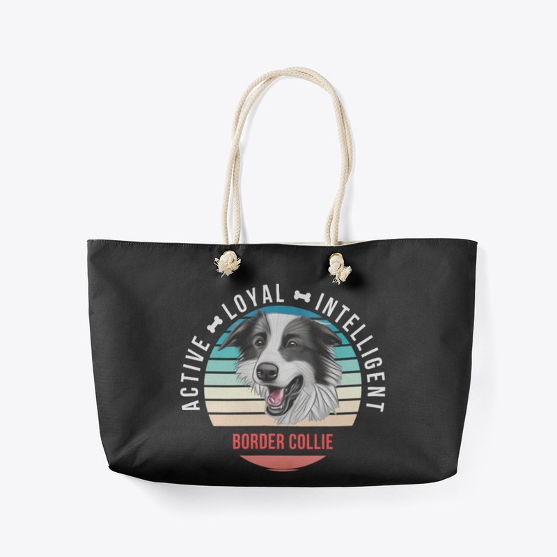 Border Collie - Active, Loyal