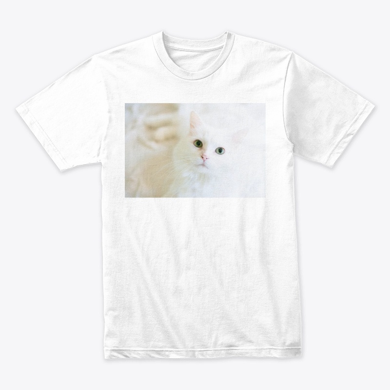 White cat