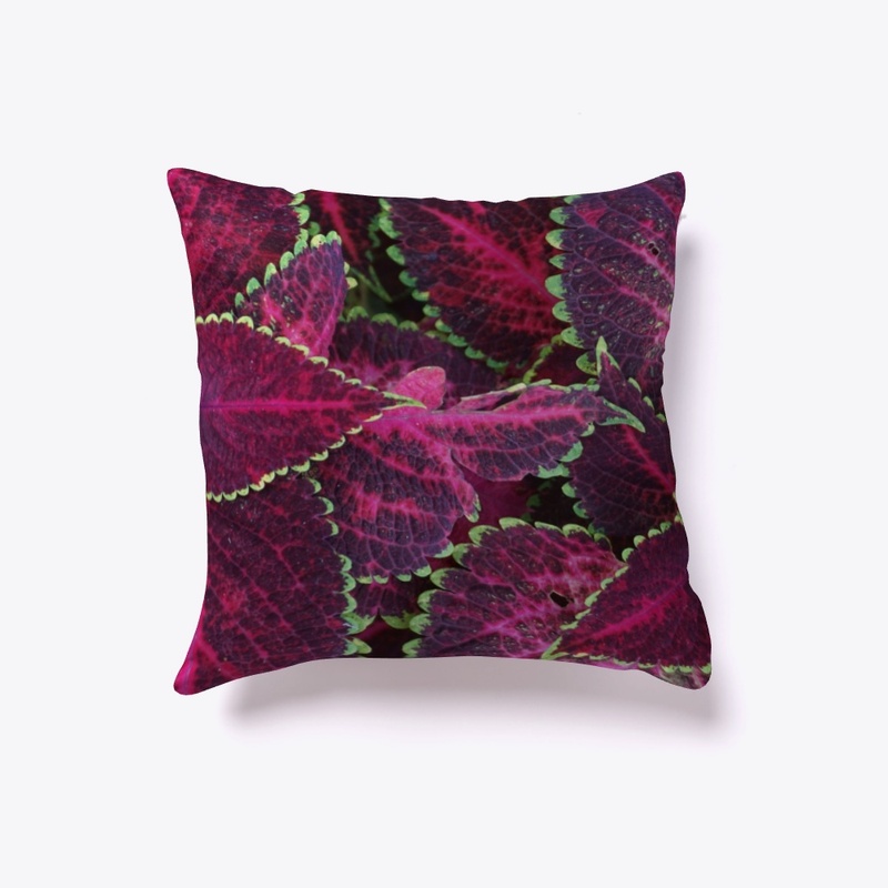 Indoor pillow
