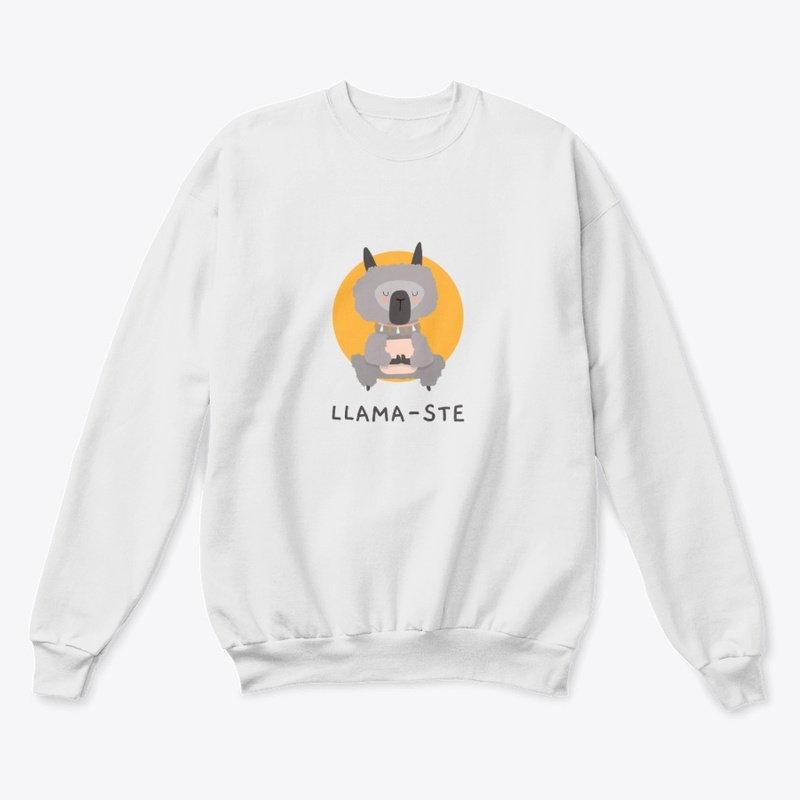 llama-ste 