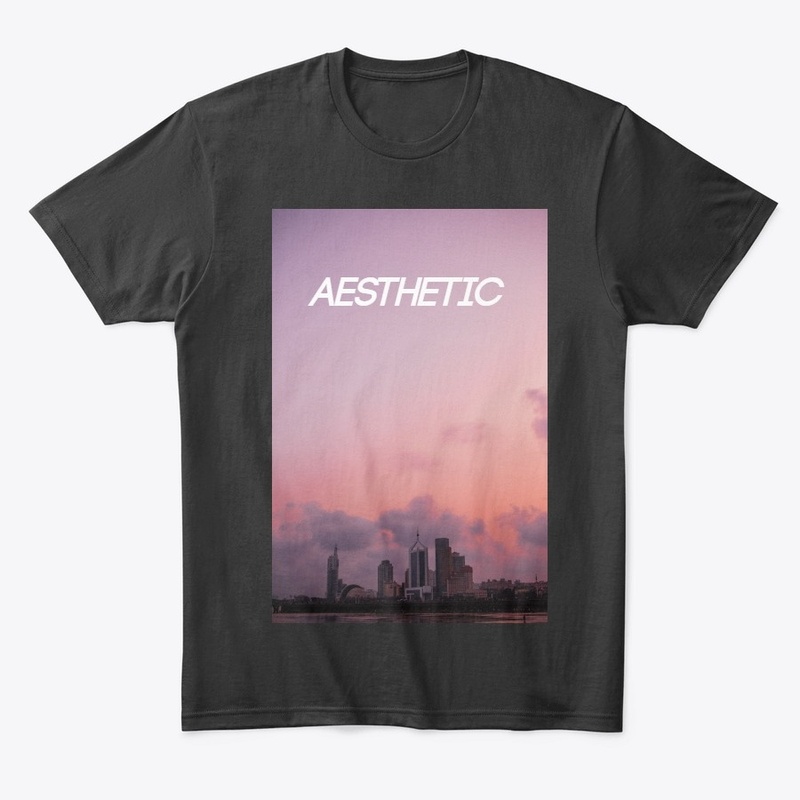 "Aesthetic" pink city T-shirt / Hoodie