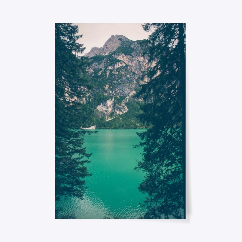 Nature Poster