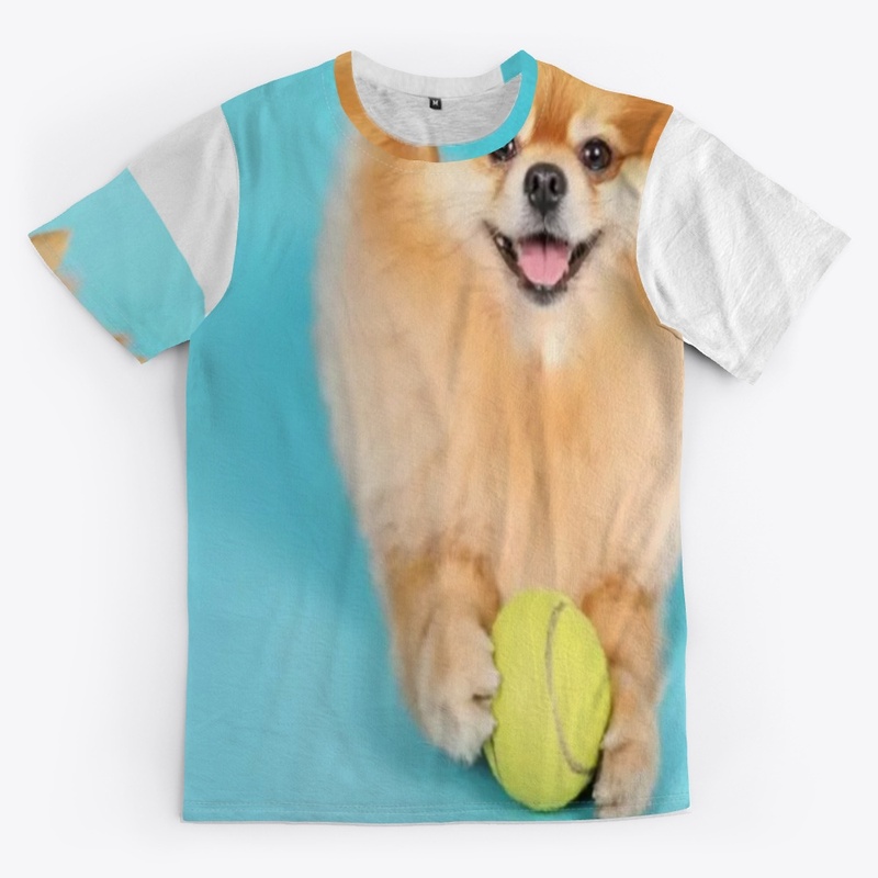 cute dog