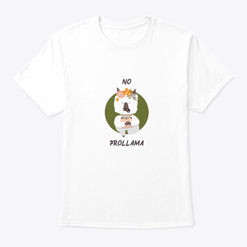 No prollama. Llama