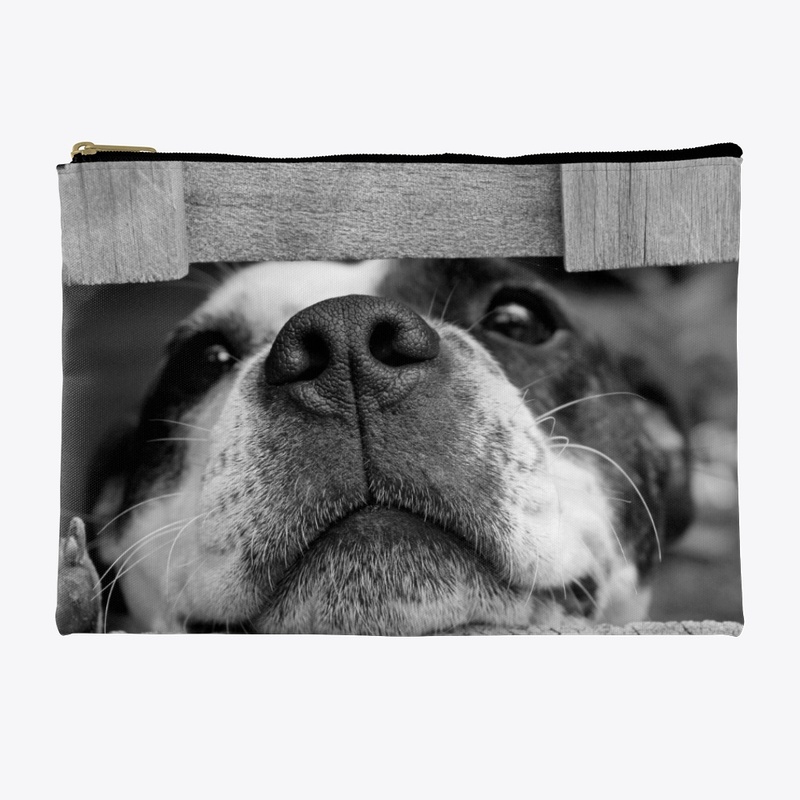 Lovely dog