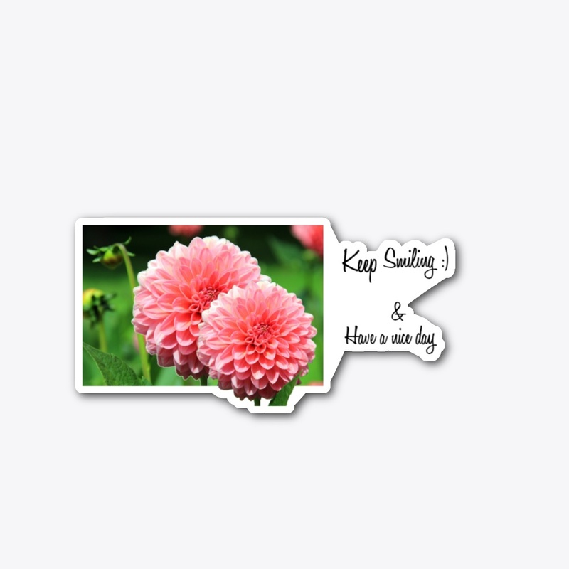pink dahlia flower