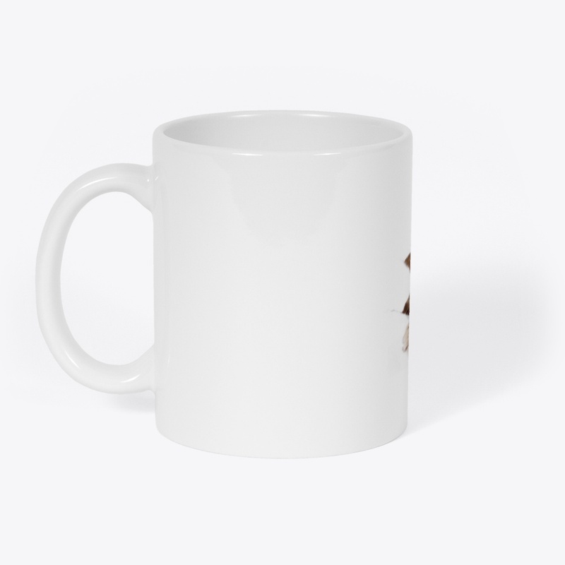 unique gift for cat lover