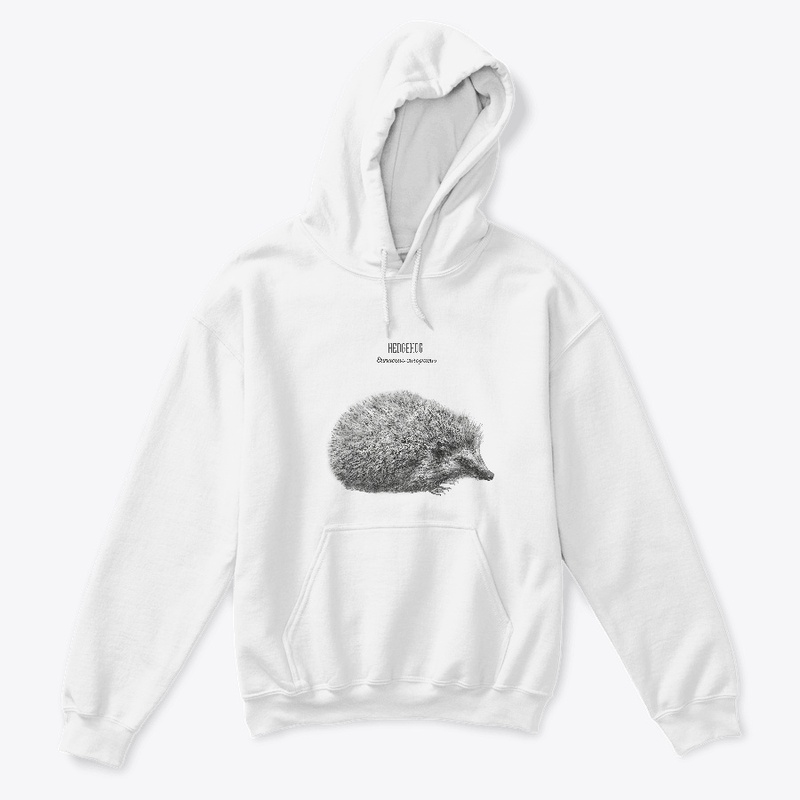 Hedgehog - Erinaceus Europaeus