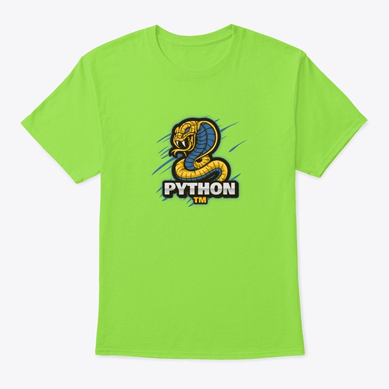 Python 