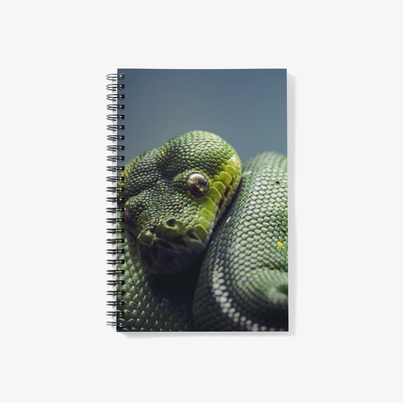 Reptillian 1