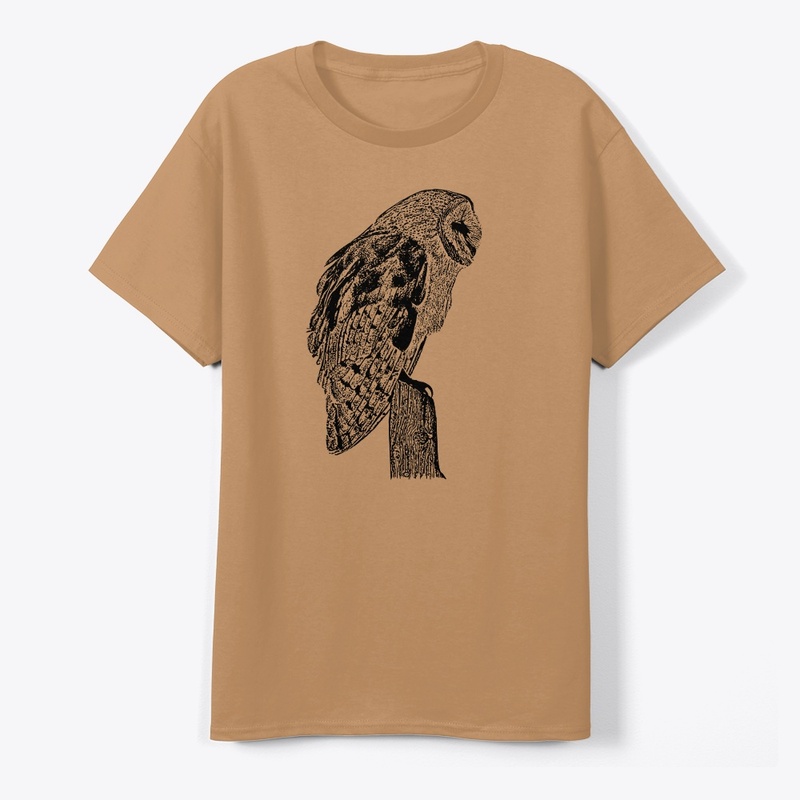 Birdwatching and Barn Owls