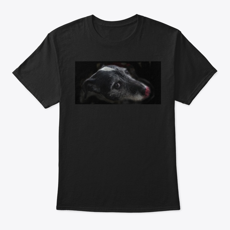 sassy dog