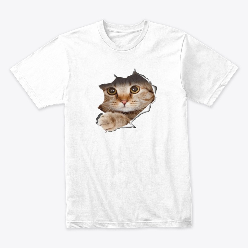 CAT IS COMING OUT