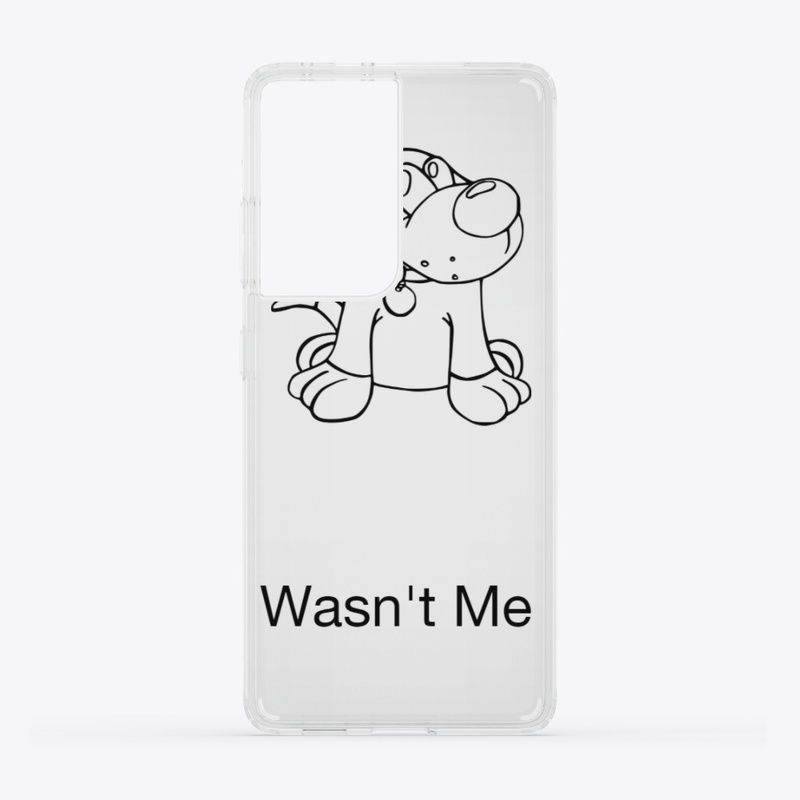 Wasn't Me 