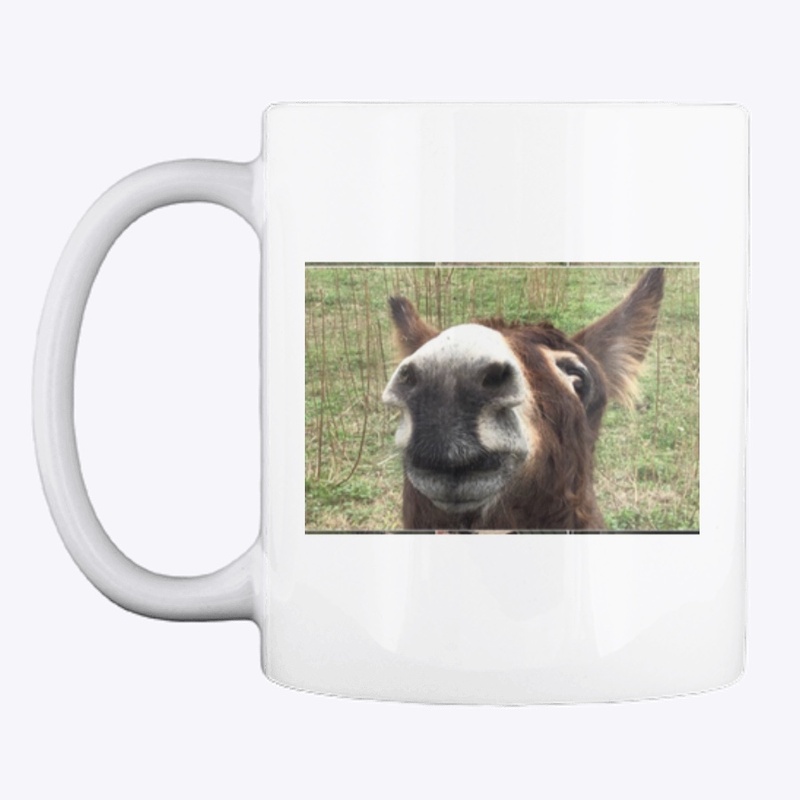 Donkey Fever