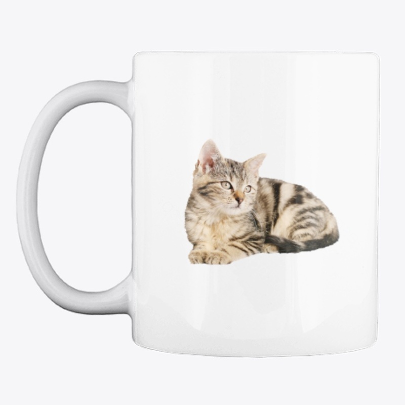 Realistic Cat