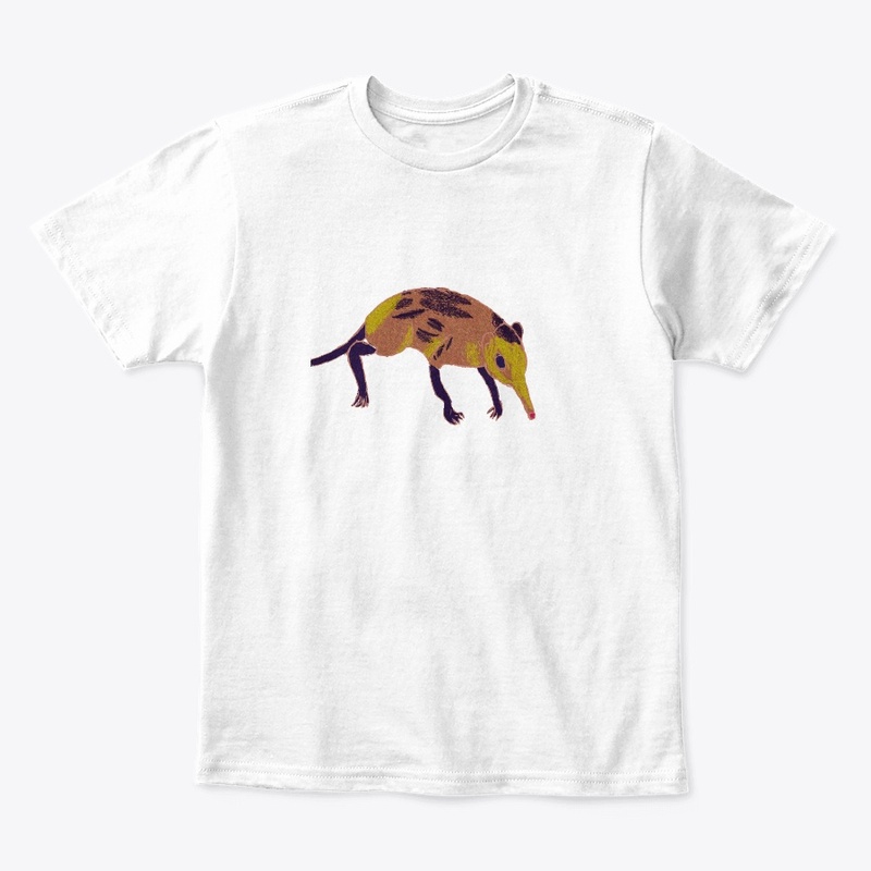 Golden Elephant shrew 