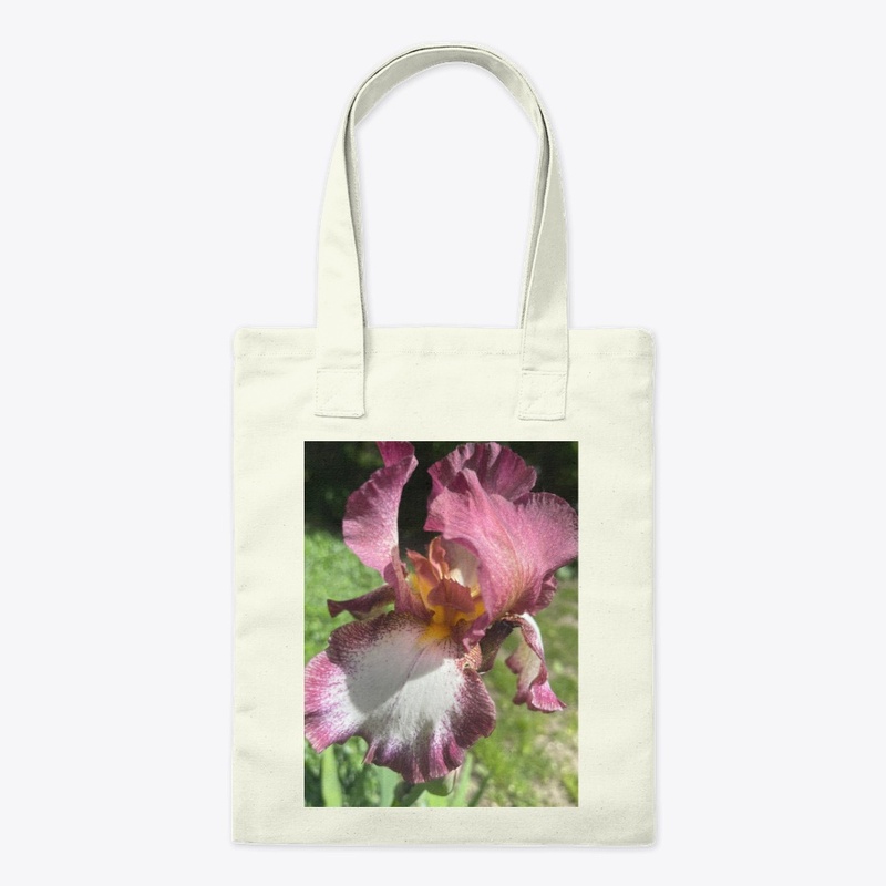 Burgundy Iris