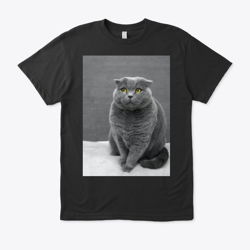 I LOVE MY CAT