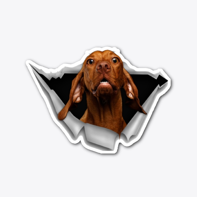 The perfect vizsla gift for true lovers