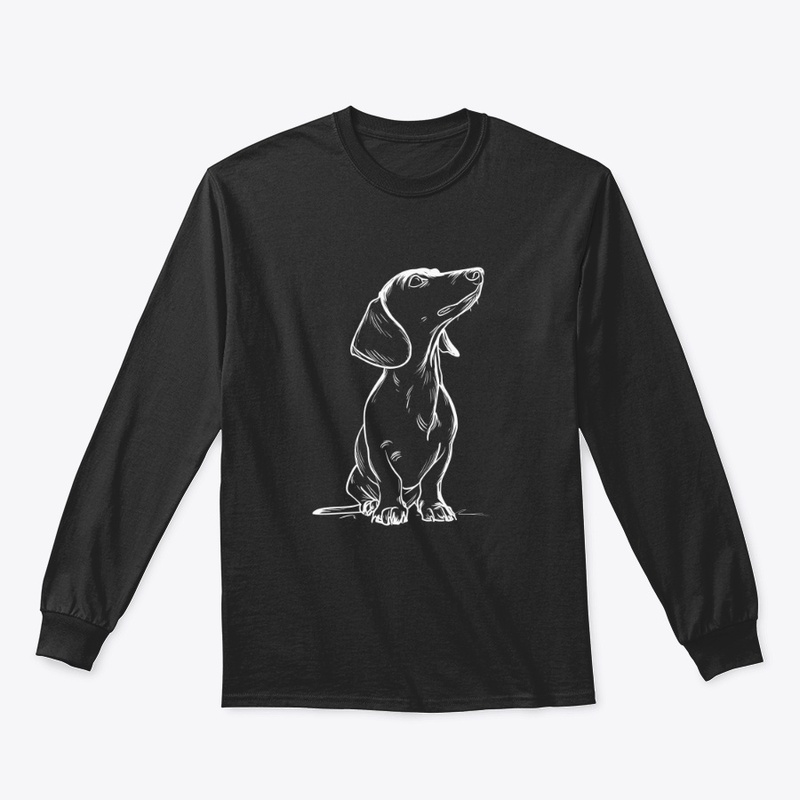 Minimal Dachshund Doodle