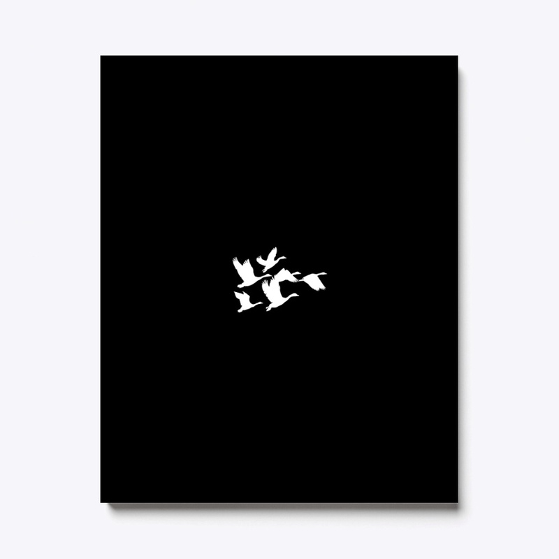 Flying birds 🕊️