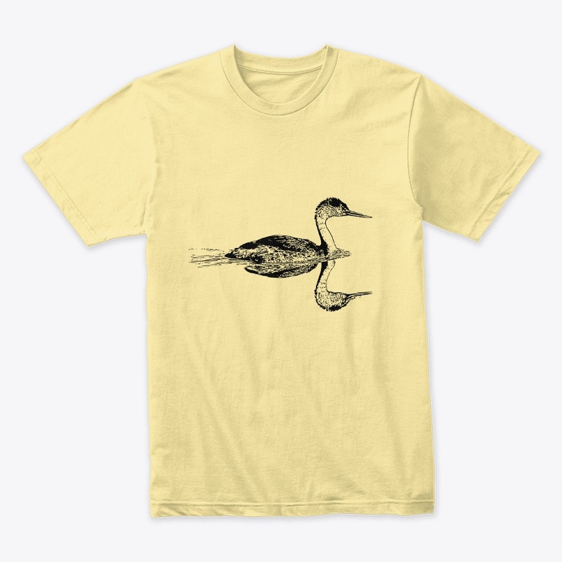 Clark's Grebe - Birdwatching