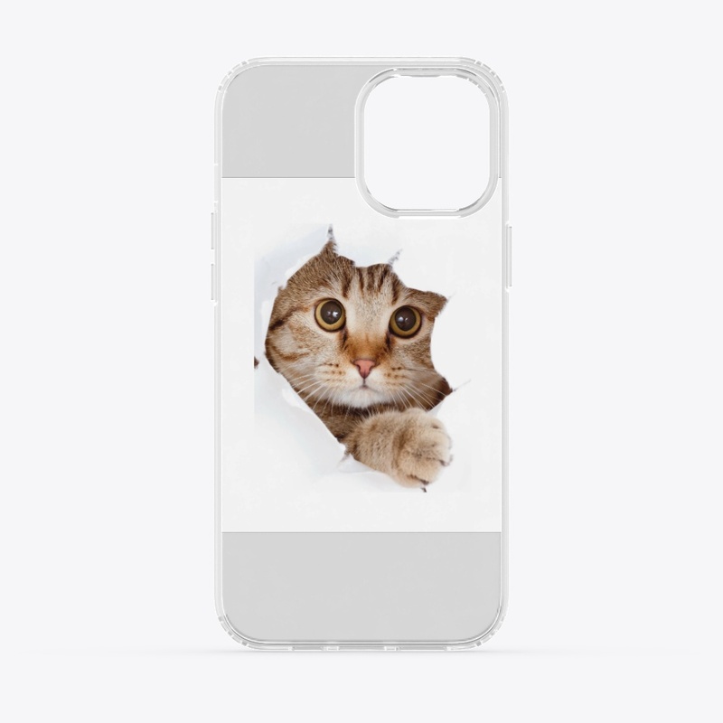 Cat collection 