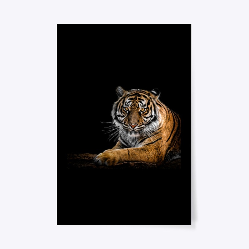 Lion Inside