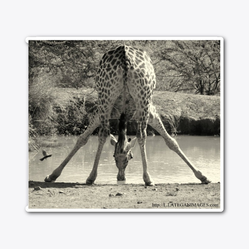 Giraffe Tent