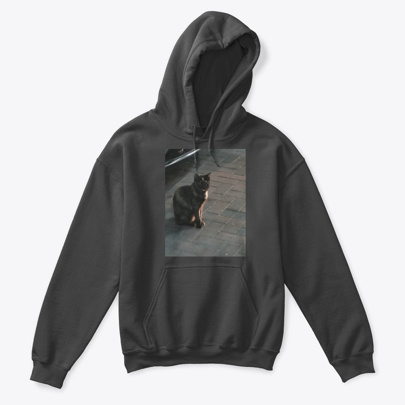 Cats lovers 2020