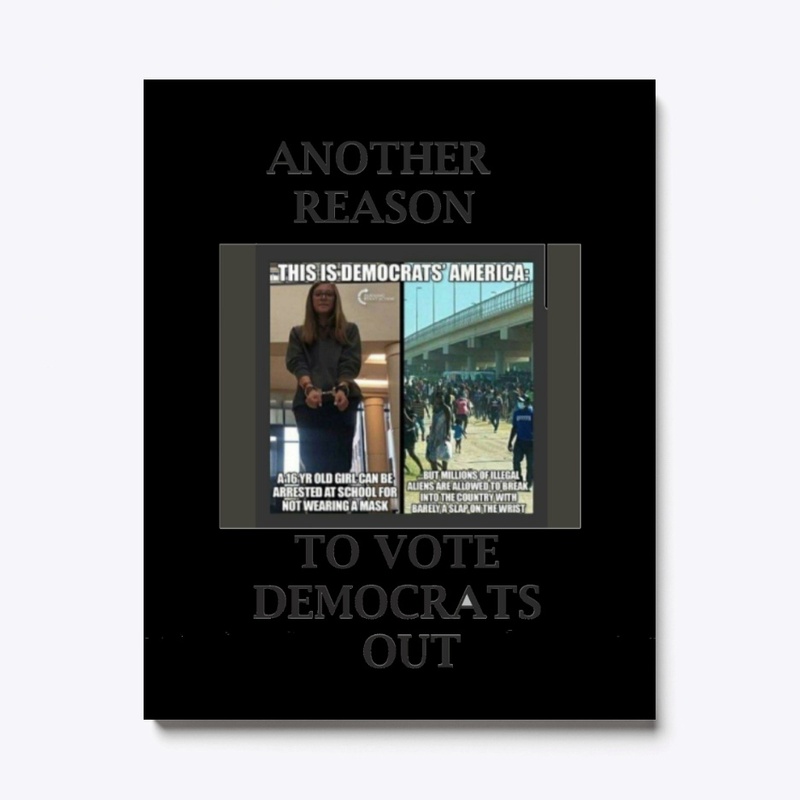 REason 3.1 to vote Dems out