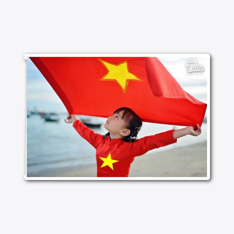 vietnam baby flag