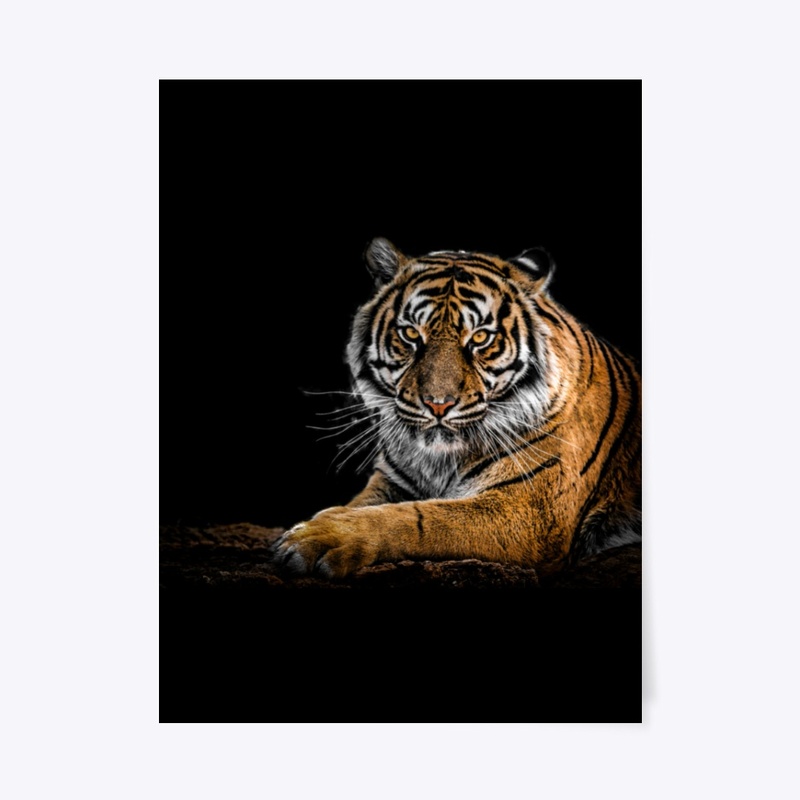 Lion Inside