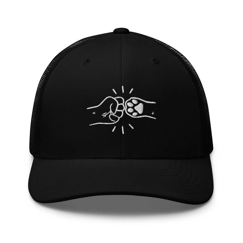 dap hat 
