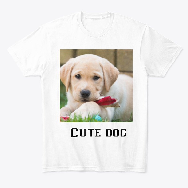 Cute dog