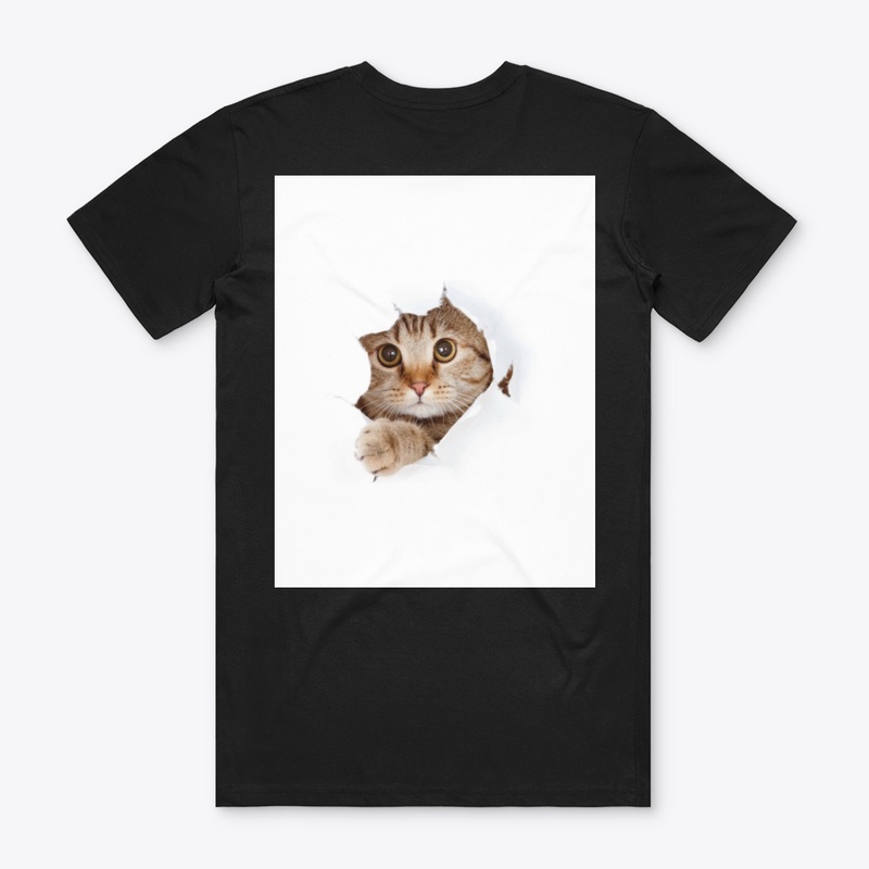 My catto 