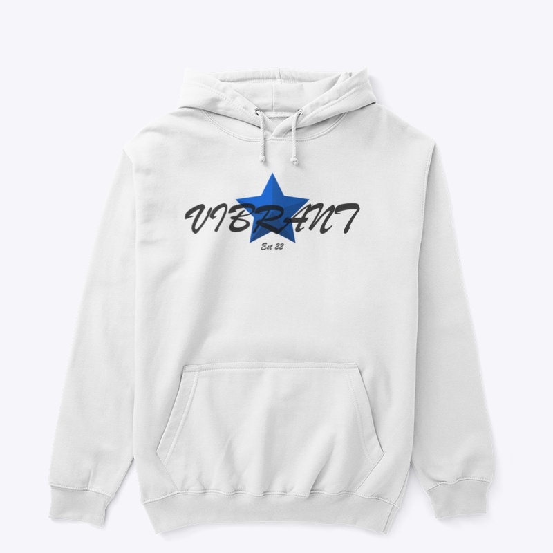 Vibrant Mindset pull over hoodie