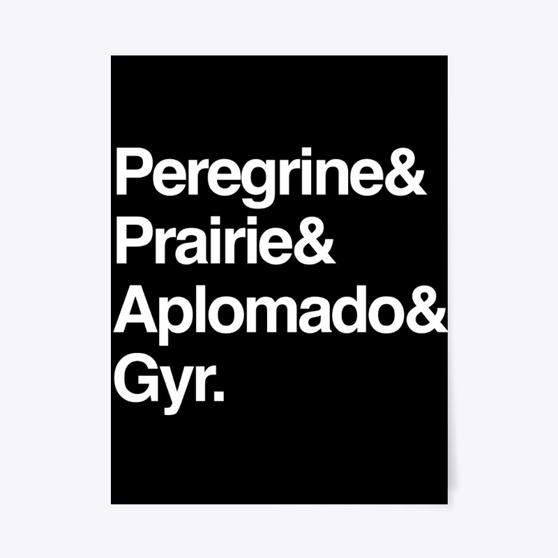 Falcons Helvetica List