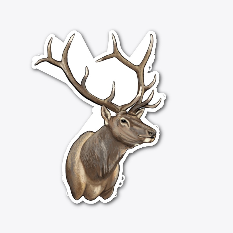 Elk
