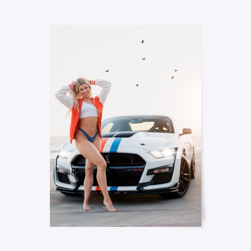 "Pose" 2020 Shelby GT500 Wall Art