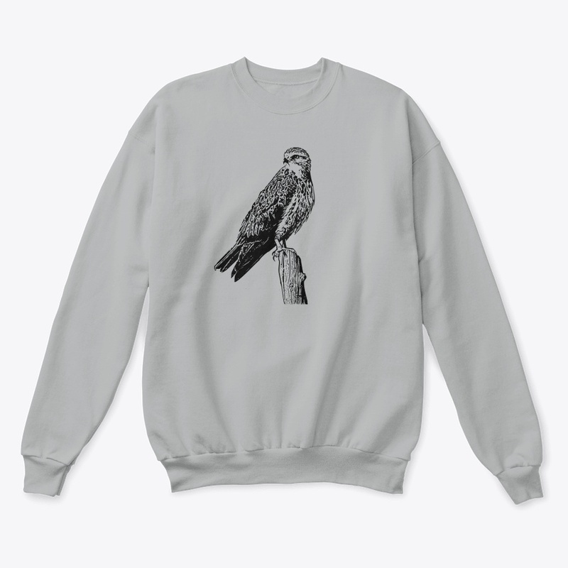 Birdwatching- Swainson's Hawk