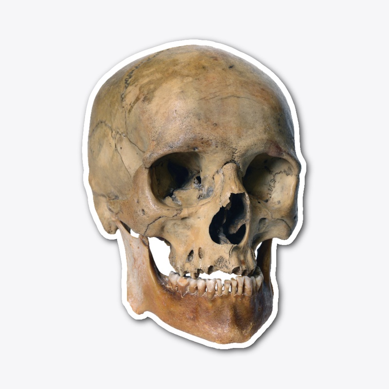 Old Weathered Skull
