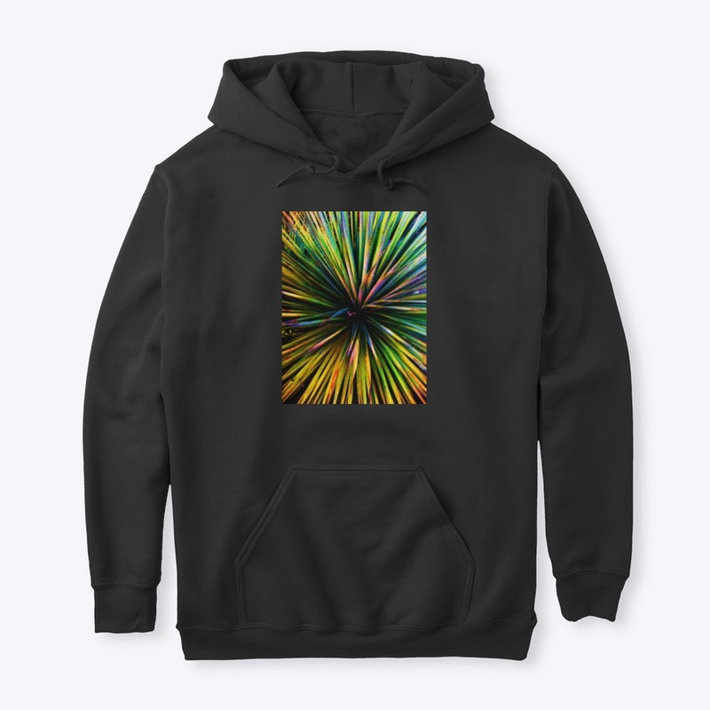Colorful Yucca photo