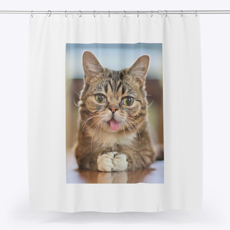 CUTE KITTY