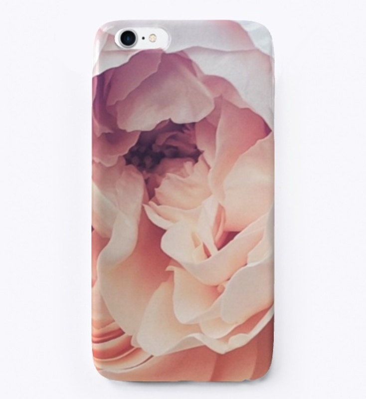 Peaches And Cream Rose
