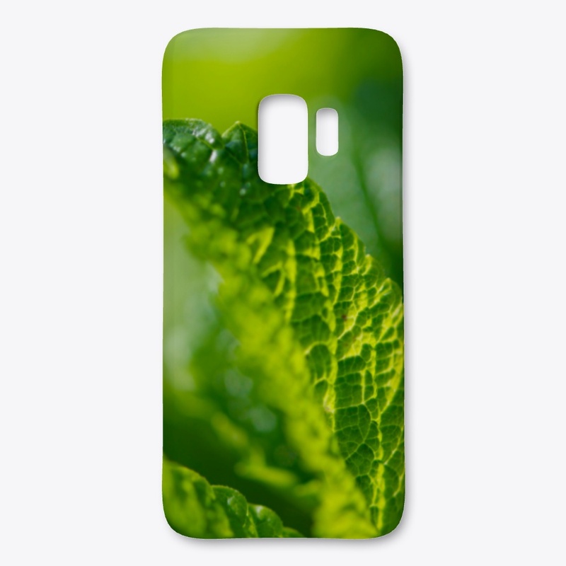 Green leaves in nature