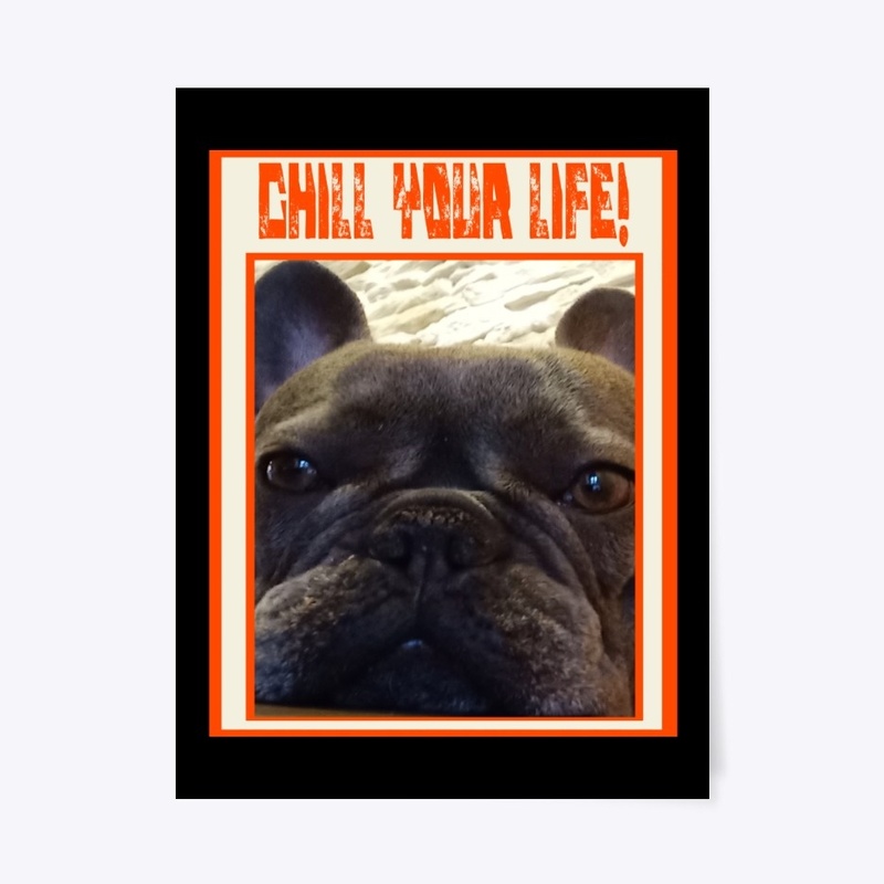 cute puppy dog 