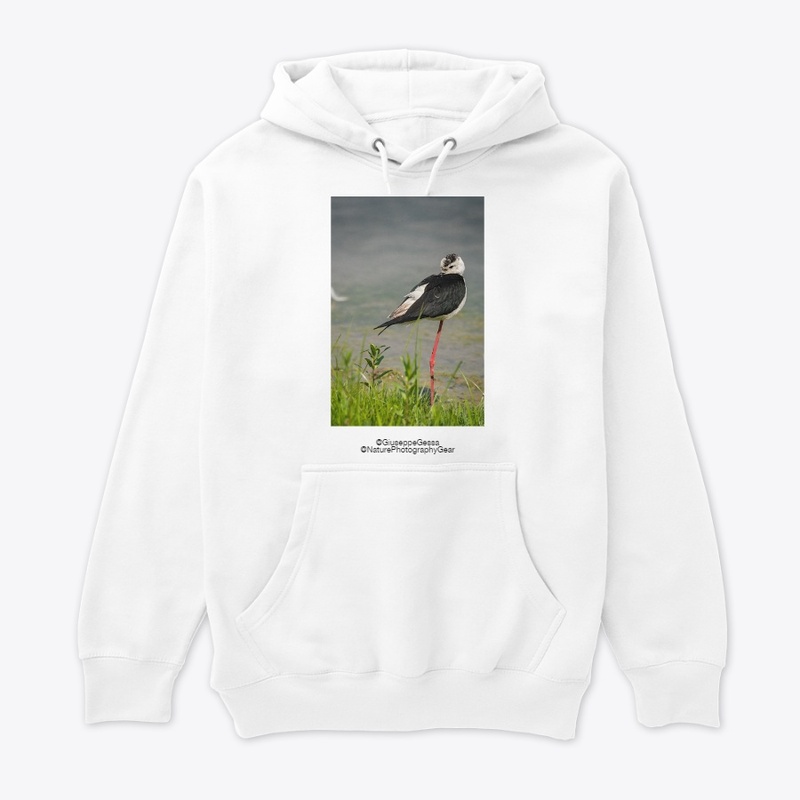 Black-winget stilt