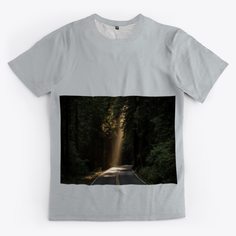 Apperals - Road in Forest Party Wear